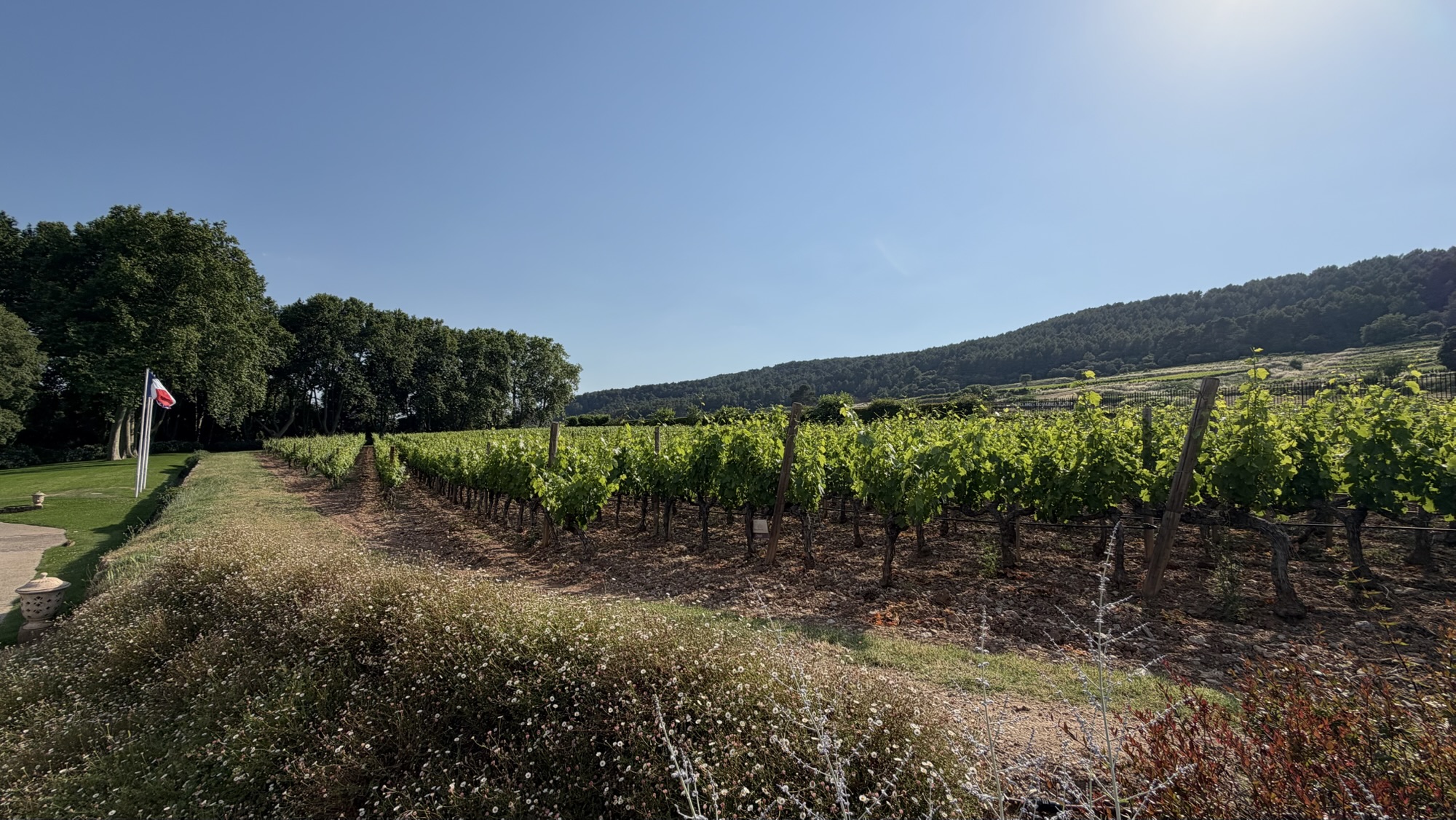 Why Provence Is Best in Spring & Autumn | La Vie en Rose